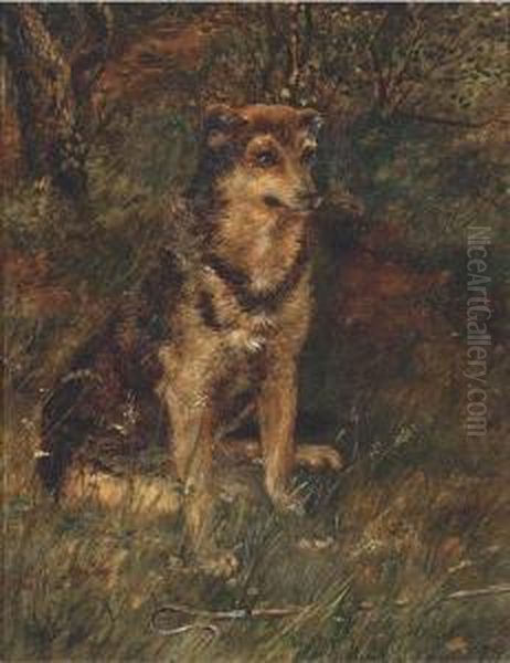 A Dog In A Wood - view 1