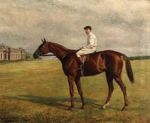 Fragilite With Jockey-up