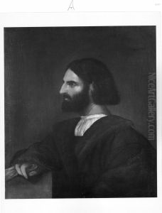 Portrait Of A Gentleman by Sebastiano Del Piombo