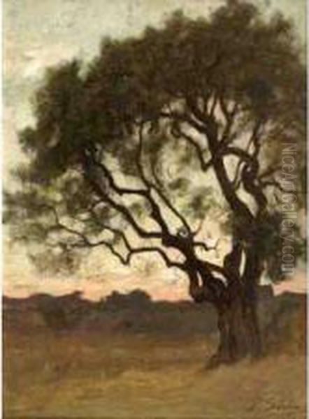 Le Gros Arbre - view 1