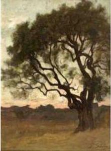 Le Gros Arbre by Paul Sebilleau