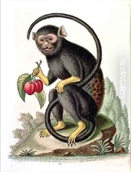 A Little Black Monkey - view 1