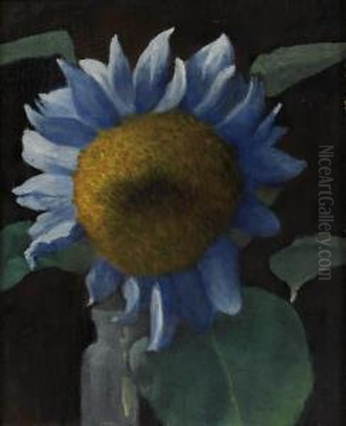 A Sunflower - view 1