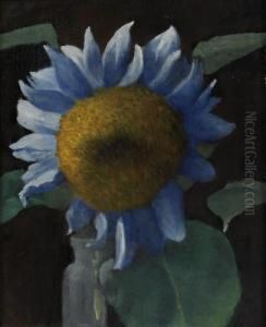 A Sunflower