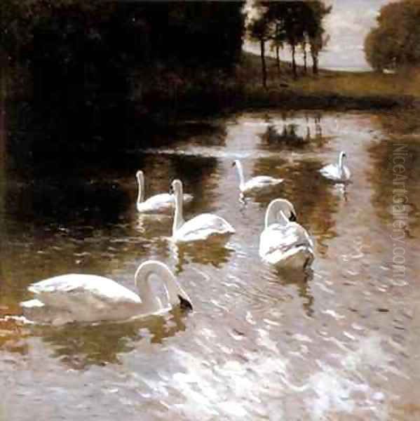 Swans on a lake - view 1