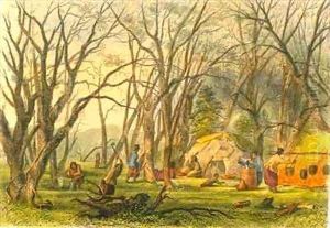 Indian Sugar Camp Indian Sugar Camp