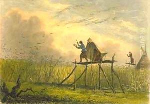 Guarding the Corn Fields by Eastman, Captain Seth