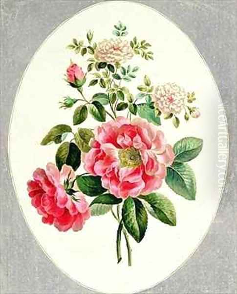 Rose De Meux and Damask Rose - view 1