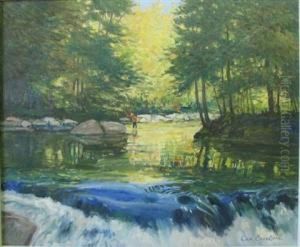 The Stream The Stream