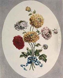 Persian Ranunculus Persian Ranunculus