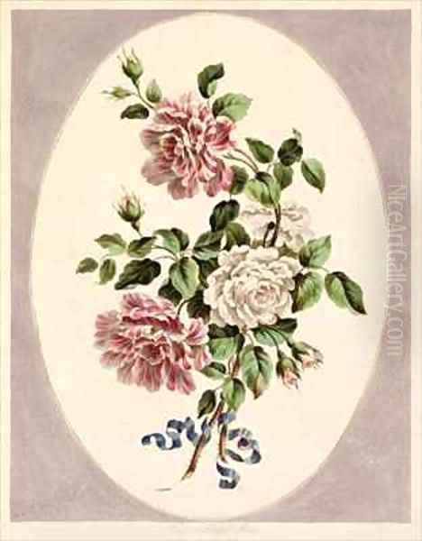 White and striped Roses - view 1