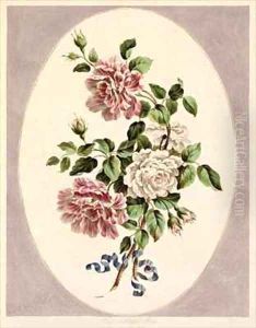 White and striped Roses by John Edwards