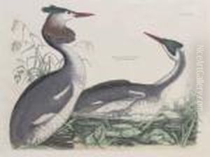 Etching With Handcolouring, 1821, On Wove Paper, Framed Etching With Handcolouring, 1821, On Wove Paper, Framed