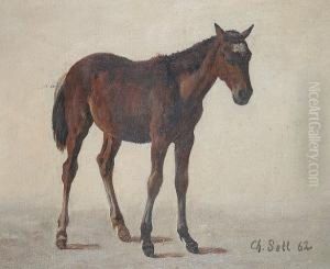 Study Of A Horse by Christian I Sell
