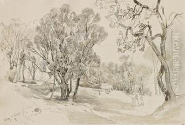 "park In Sidney - view 1