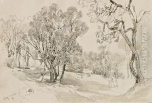 "park In Sidney