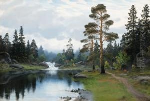 Forest Landscape by Conrad Selmyhr
