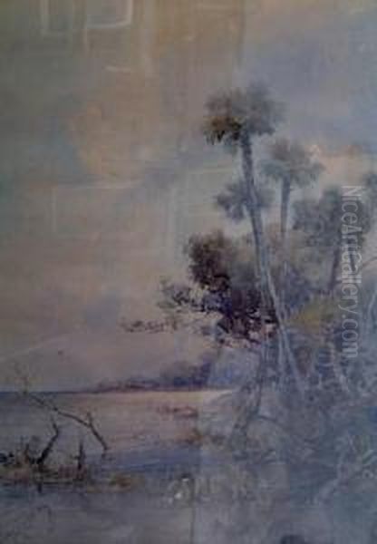 Palms At Water's Edge - view 1