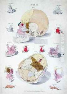 Bones of the skull by Eisenberger, Nikolaus Friedrich