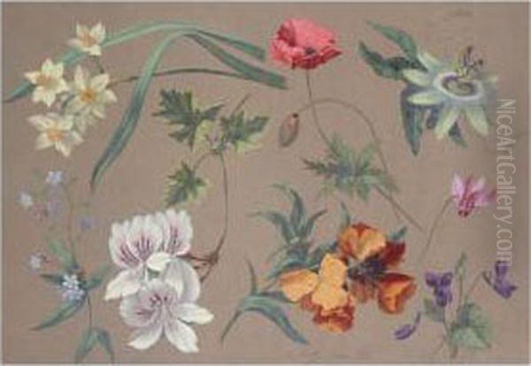 Flower Studies - view 1