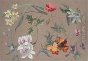 Flower Studies by Carl Adolf Senff