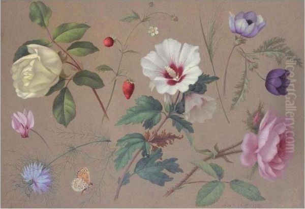 Flower Studies - view 1
