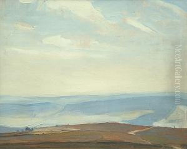 A Winter Moorland Landscape - view 1