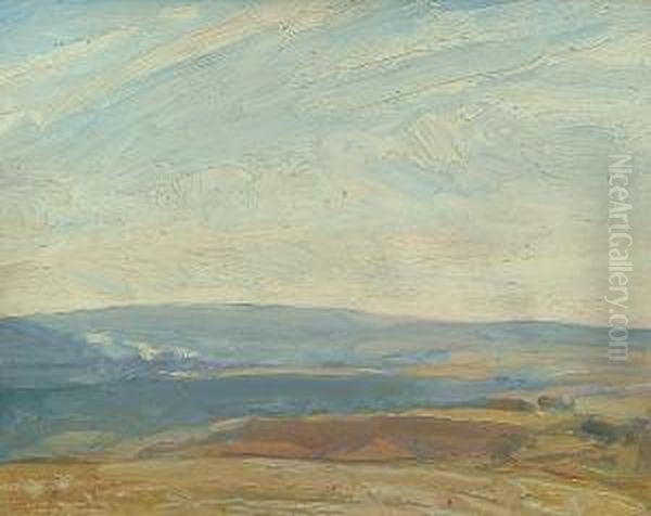 An Extensive Moorland Landscape - view 1