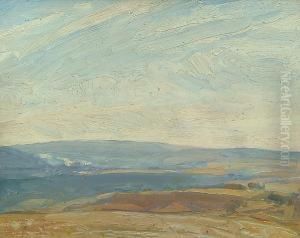 An Extensive Moorland Landscape