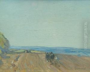 A Horse Plough At Work