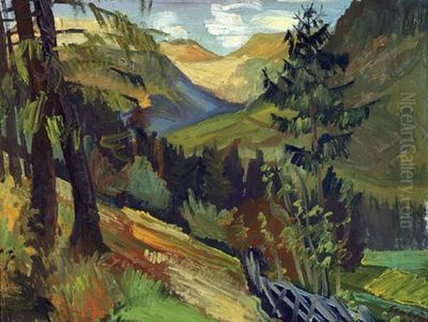 Blick Zum Silberpfennig/gasteinertal - view 1