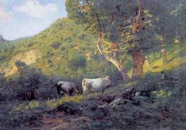Mucche Al Pascolo - view 1