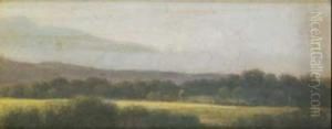 Il Pratone Alle Cascine Di Firenze by Raffaello Sernesi