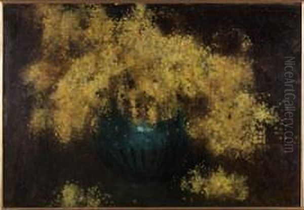 Mimose - view 1