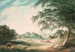 A view in the park at Hawkstone, the seat of Sir Richard Hill, Bt., Shropshire