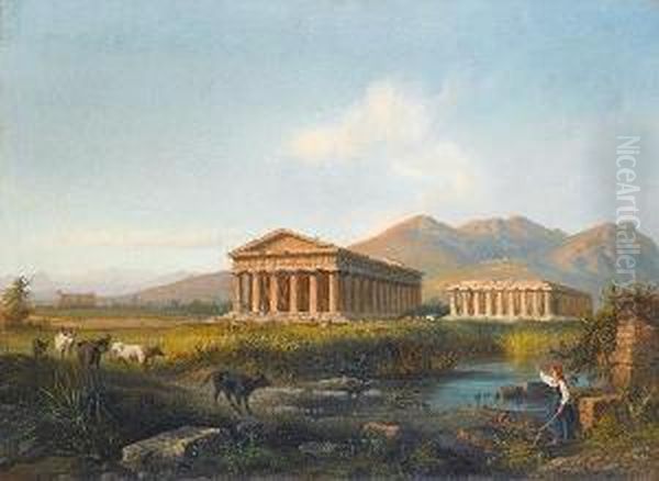 Cattle Watering At A Pool Before The Temples At Paestum - view 1