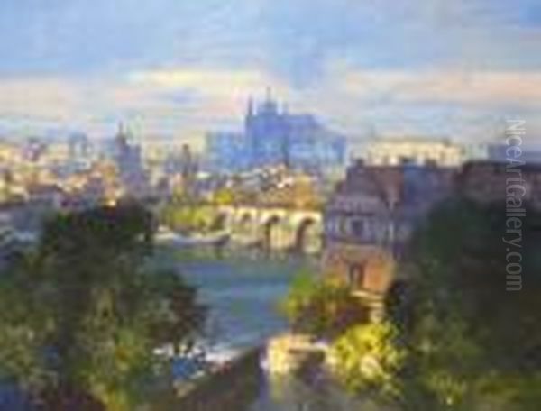 Pohled Na Karluv Most Ahradcany - view 1