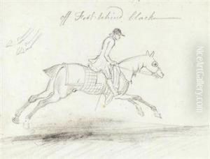 Study Of A Racehorse With Jockey Up by James Seymour