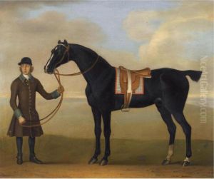 The Black Racehorse Molotto Held By A Groom