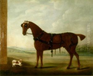 Carriage Horse And Spaniel In A Landscape