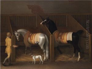 A Groom Feeding Two Horses In A Loosebox With A Dog