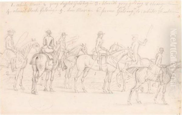 Study Of Horses At A Meet - view 1