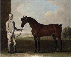 Regulus, A Bay Racehorse Held By A Groom