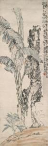 Rock And Plant by Li Shan