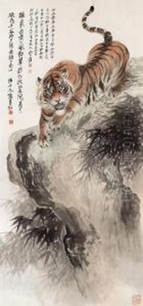 Tiger - view 1