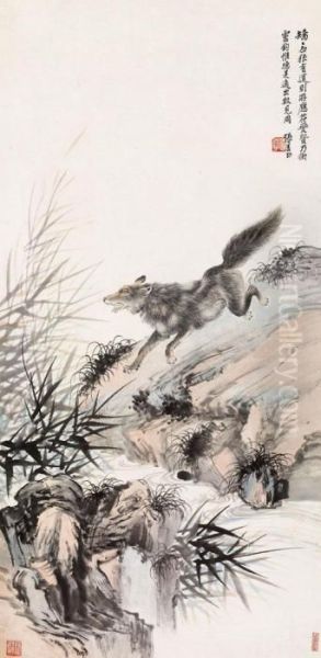 Wolf - view 1
