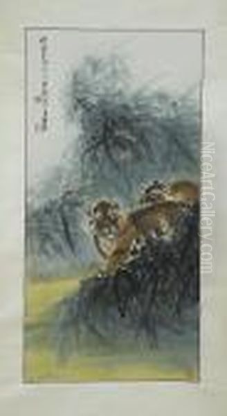 Tigers - view 1