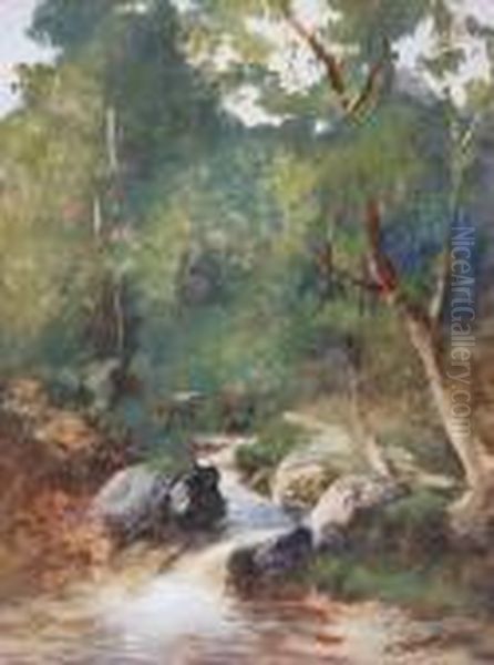 A Woodland Stream - view 1