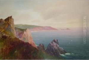 Coast At Kynance Cove, Cornwall by John Shapland