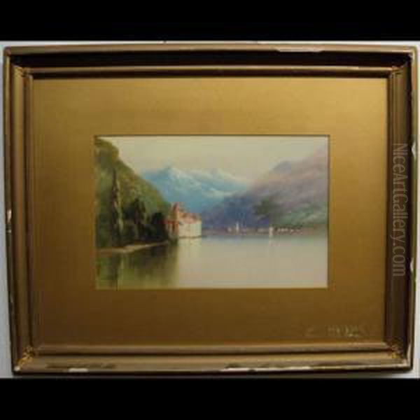 Chill Castle, Switzerland - view 1